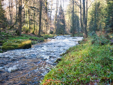 20220205202120-6044079f